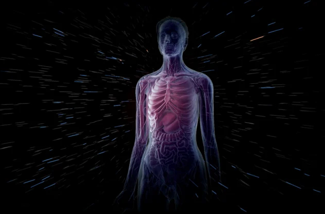 Ποιο μέρος του ανθρώπινου σώματος παράγει ινσουλίνη;