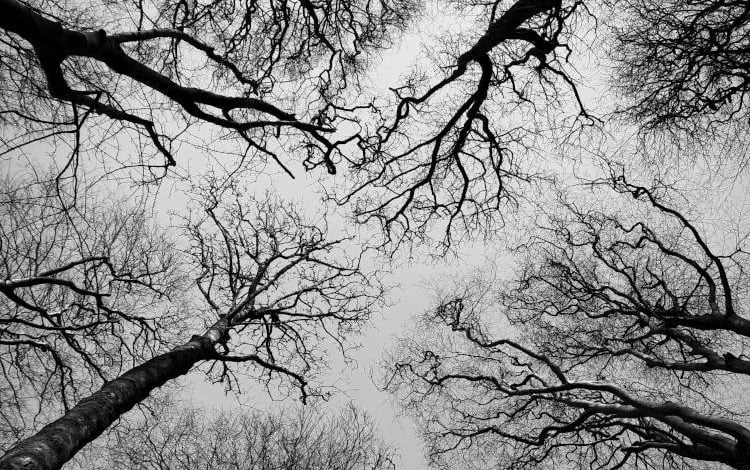 Πως θα απαλλαγούμε από το άγχος;