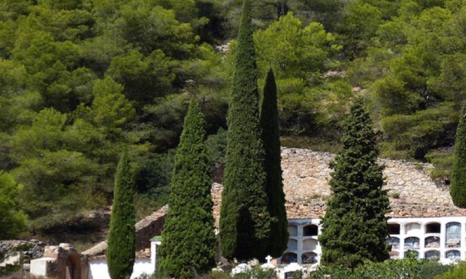 Γιατί στα νεκροταφεία φυτεύουν κυπαρίσσια