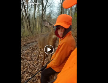 Η απόδειξη ότι τα ελάφια είναι φιλικά! 😲