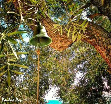 Η μελέτη του θανάτου είναι μελέτη ζωής