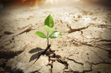 Η ανίκητη τελευταία ελπίδα – Μια πραγματική ιστορία από τα βάθη της Μικρασίας στην ορεινή Αρκαδία