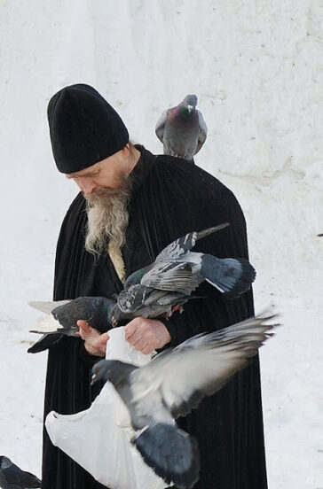 Ήταν μια σκηνή παραδείσια