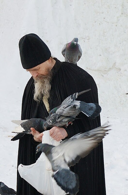 Ήταν μια σκηνή παραδείσια