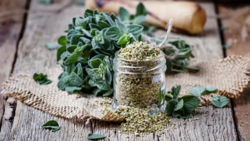 Το αντιοξειδωτικό αρωματικό βότανο που καταπολεμά βακτήρια και ιούς