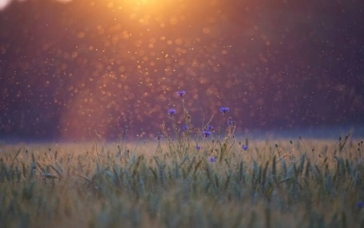 Η συνταγή της ιδανικής φιλίας (Αγίου Γρηγορίου Θεολόγου)