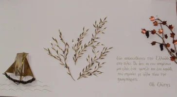 Ελιά, το ευλογημένο δέντρο… Πως φτιάχνω και συντηρώ σπιτικές ελιές