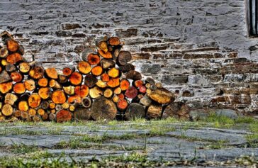 Η κακή συνήθεια της κλοπής