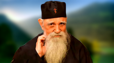 Για όλα φταίω εγώ