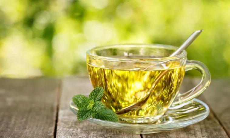 Οι θεραπευτικές ιδιότητες της μέντας