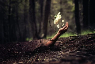 Ο αχάριστος άνθρωπος έχει αναίσθητη ψυχή