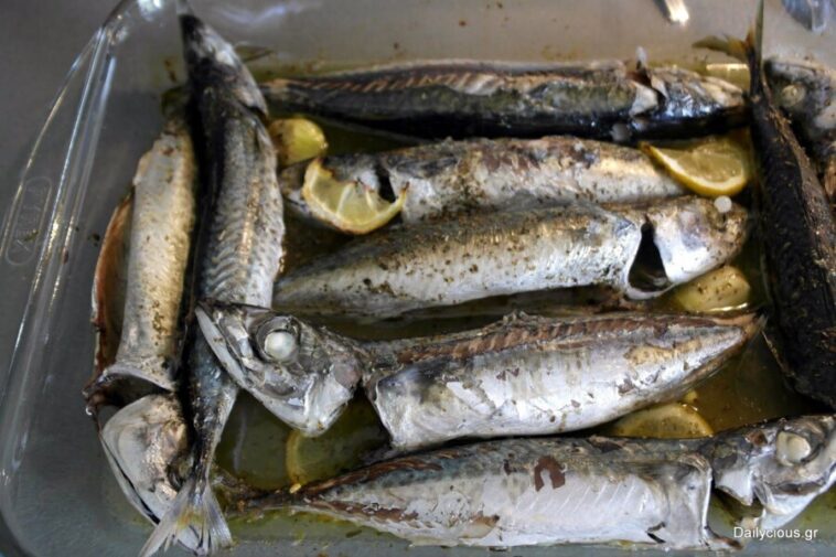 Κολιοί στο φούρνο