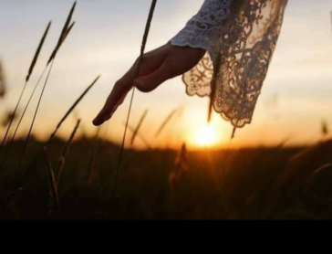 «Δεν μπορείς να είσαι εικόνα του Θεού από τη στιγμή που λες ψέματα»33333333333333333333333333333333333333333333333333333333333333333333333333333333333333333333333333333