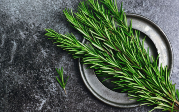 Το άρωμα δεντρολίβανου μπορεί να ενισχύσει τη μνήμη και την υγεία