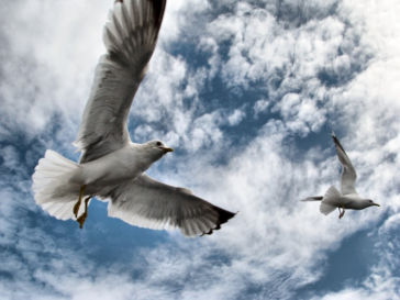 Να σ’ αγαπώ γιατί είσαι «εσύ», κι όχι γιατί θέλω να σε κάνω, «εγώ»