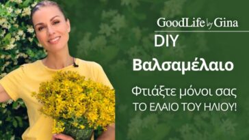 Βαλσαμέλαιο. Φτιάξτε μόνοι… το έλαιο του Ήλιου!