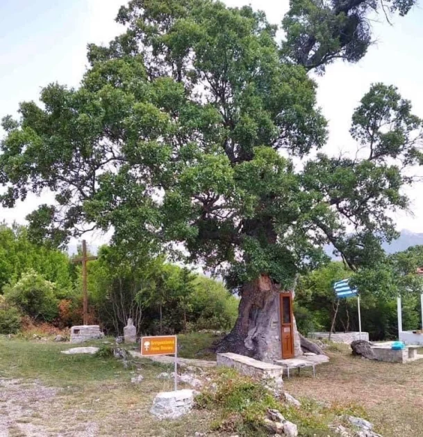 Η Δεντροκκλησιά του Αγίου Παϊσίου στο χωριό Αγία Βαρβάρα της Κόνιτσας