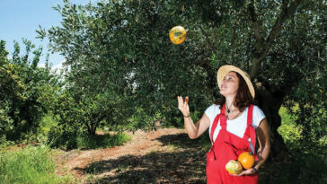 Από μισό στρέμμα γη, δημιούργησε μια επιχείρηση 140 στρεμμάτων