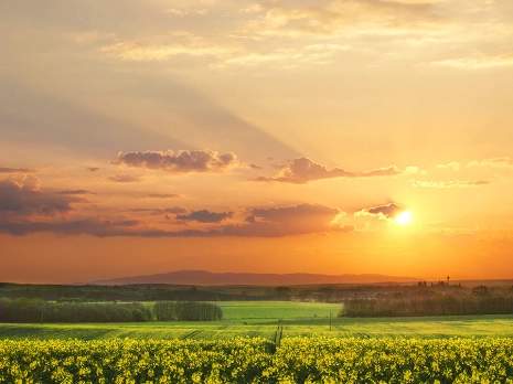 «Η σιωπή του Θεού» (Αρχιμ. Σωφρονίου Σαχάρωφ) «Η σιωπή του Θεού» (Αρχιμ. Σωφρονίου Σαχάρωφ)