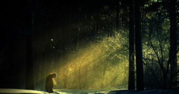 «Το δέντρο από τους καρπούς του φαίνεται»