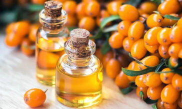 Ιπποφαές: Ο δυναμίτης της υγείας και τα 190 ωφέλιμα συστατικά του!