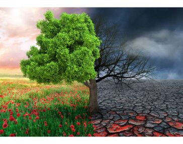 Μετεωρολόγοι, επιστήμονες εξηγούν γιατί δεν υπάρχει «κλιματική έκτακτη ανάγκη»